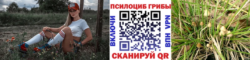купить наркотик  Амурск  Галлюциногенные грибы прущие грибы 