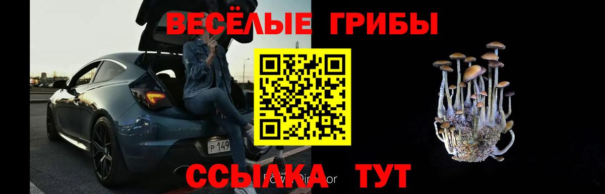 Галлюциногенные грибы ЛСД  Вход с VPN  Амурск 